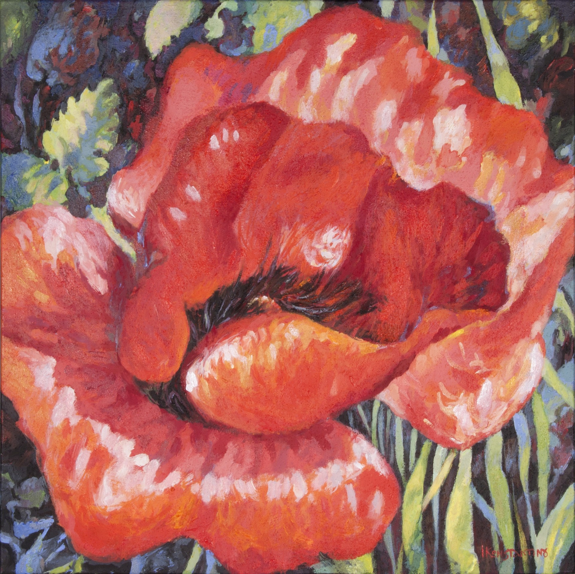 Poppy X, acrylic on canvas, 60x60 cm.
