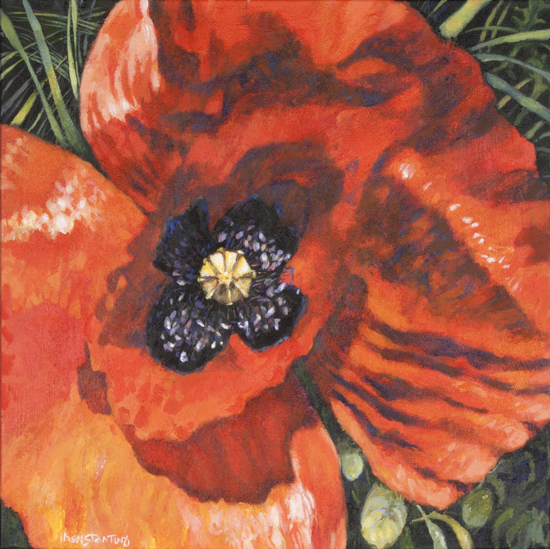 Poppy III, acrylic on canvas, 60x60 cm.