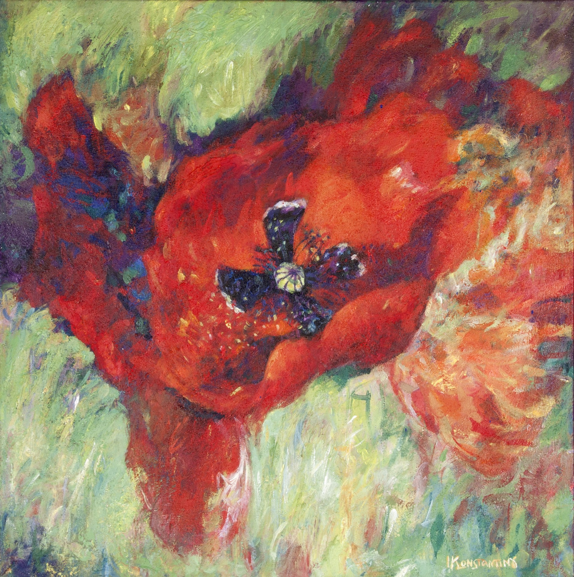 Poppy XI, acrylic on canvas, 60x60 cm.
