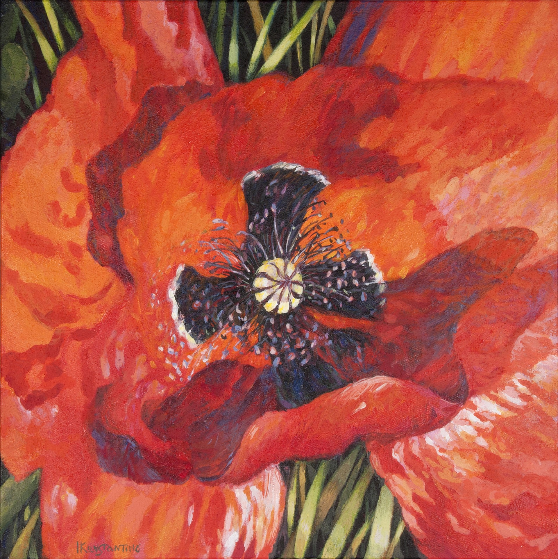Poppy IV, acrylic on canvas, 60x60 cm.