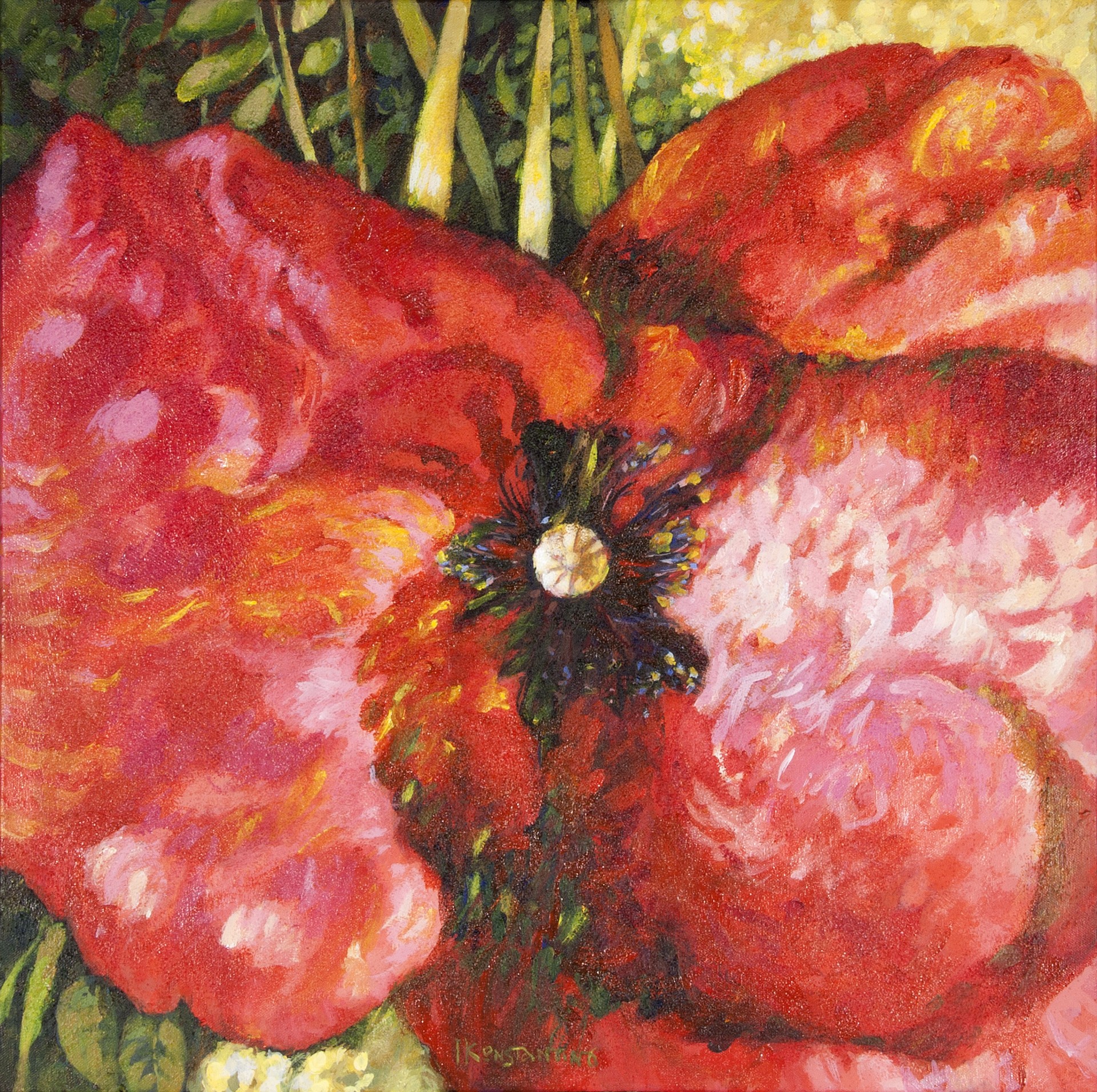 Poppy IX, acrylic on canvas,60x60 cm.