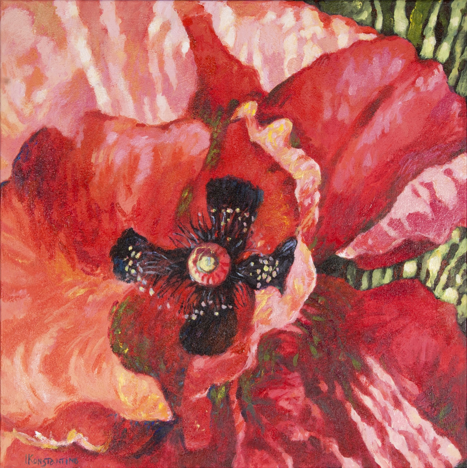Poppy VIII, acrylic on canvas,60x60 cm.