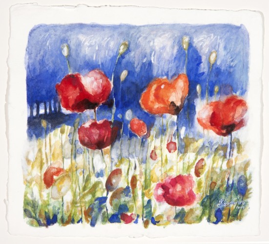 Poppies in front of woods, watercolor on paper, 37x42 cm.