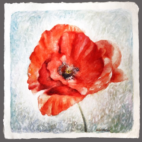 A poppy , watercolor and acrylic on paper, 60x60 cm.