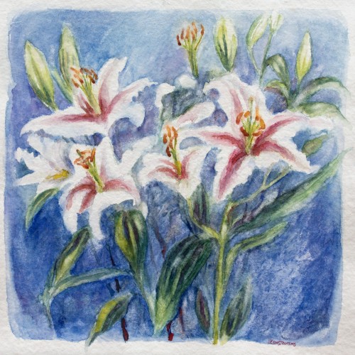 Iris, watercolor on paper, 60x60 cm.
